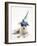 Blue-And-White Jack Russell Terrier Puppy, Scamp, Wearing a Party Hat-Mark Taylor-Framed Photographic Print