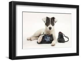 Blue-And-White Jack Russell Terrier Puppy, Scamp, with Child's Shoes-Mark Taylor-Framed Photographic Print