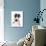 Blue-And-White Jack Russell Terrier Puppy, Scamp-Mark Taylor-Photographic Print displayed on a wall