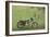 Blue and White Motorcycle at the Golf Course-null-Framed Art Print