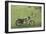 Blue and White Motorcycle at the Golf Course-null-Framed Art Print