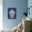 Blue and White Porcelain Vase II-Vision Studio-Art Print displayed on a wall