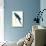 Blue and Yellow Macaw - Ara Ararauna-Edward Lear-Stretched Canvas displayed on a wall