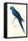 Blue and Yellow Macaw - Ara Ararauna-Edward Lear-Framed Stretched Canvas