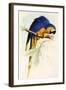 Blue and Yellow Macaw, Ara Ararauna-Edward Lear-Framed Giclee Print