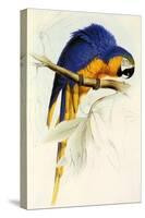 Blue and Yellow Macaw, Ara Ararauna-Edward Lear-Stretched Canvas