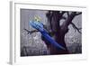 Blue and Yellow Macaw in Burned Forest-Harro Maass-Framed Giclee Print