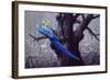 Blue and Yellow Macaw in Burned Forest-Harro Maass-Framed Giclee Print