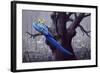 Blue and Yellow Macaw in Burned Forest-Harro Maass-Framed Giclee Print