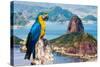 Blue and Yellow Macaw in Rio De Janeiro, Brazil-Frazao-Stretched Canvas