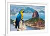 Blue and Yellow Macaw in Rio De Janeiro, Brazil-Frazao-Framed Photographic Print