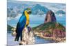 Blue and Yellow Macaw in Rio De Janeiro, Brazil-Frazao-Mounted Photographic Print