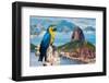 Blue and Yellow Macaw in Rio De Janeiro, Brazil-Frazao-Framed Photographic Print