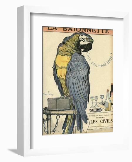 Blue and Yellow Macaw Parrot-Abel Faivre-Framed Art Print