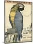 Blue and Yellow Macaw Parrot-Abel Faivre-Mounted Art Print