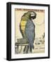 Blue and Yellow Macaw Parrot-Abel Faivre-Framed Art Print