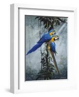 Blue and Yellow Macaws 2-Harro Maass-Framed Giclee Print