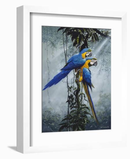 Blue and Yellow Macaws 2-Harro Maass-Framed Giclee Print