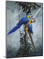 Blue and Yellow Macaws 2-Harro Maass-Mounted Giclee Print