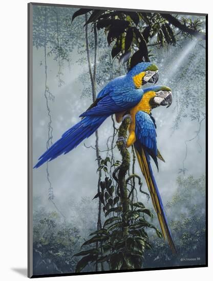Blue and Yellow Macaws 2-Harro Maass-Mounted Giclee Print