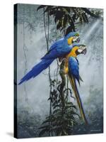 Blue and Yellow Macaws 2-Harro Maass-Stretched Canvas