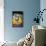 Blue and Yellow Macaws-Andrey Zvoznikov-Mounted Photographic Print displayed on a wall