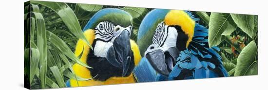 Blue and Yellow Macaws-Durwood Coffey-Stretched Canvas