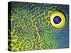 Blue and Yellow Triggerfish Eye-Bill Varie-Stretched Canvas