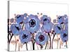 Blue Anemone-Natasha Wescoat-Stretched Canvas