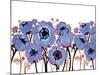 Blue Anemone-Natasha Wescoat-Mounted Giclee Print