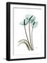 Blue Anthurium-Albert Koetsier-Framed Art Print