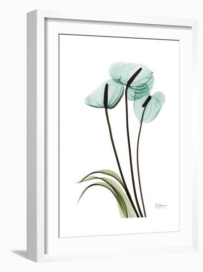 Blue Anthurium-Albert Koetsier-Framed Art Print