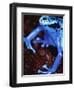 Blue arrow poison frog-Herbert Kehrer-Framed Premium Photographic Print