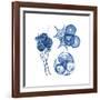 Blue Assortment Four-Albert Koetsier-Framed Art Print