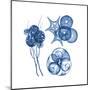 Blue Assortment Four-Albert Koetsier-Mounted Art Print