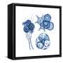 Blue Assortment Four-Albert Koetsier-Framed Stretched Canvas