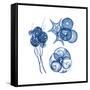 Blue Assortment Four-Albert Koetsier-Framed Stretched Canvas