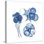 Blue Assortment Four-Albert Koetsier-Stretched Canvas