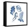 Blue Assortment One-Albert Koetsier-Framed Stretched Canvas