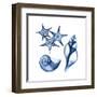 Blue Assortment Three-Albert Koetsier-Framed Art Print