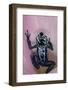 Blue Auratus dart frog, also known as Blue and black poison dart frog-Adam Jones-Framed Photographic Print
