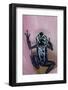 Blue Auratus dart frog, also known as Blue and black poison dart frog-Adam Jones-Framed Photographic Print