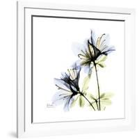 Blue Azalea-Albert Koetsier-Framed Premium Giclee Print