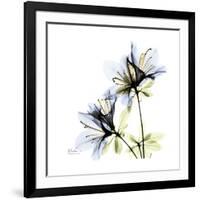 Blue Azalea-Albert Koetsier-Framed Premium Giclee Print