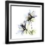 Blue Azalea-Albert Koetsier-Framed Premium Giclee Print