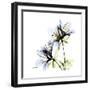 Blue Azalea-Albert Koetsier-Framed Premium Giclee Print