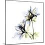 Blue Azalea-Albert Koetsier-Mounted Premium Giclee Print