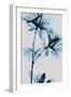 Blue Azalea-Albert Koetsier-Framed Art Print