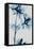 Blue Azalea-Albert Koetsier-Framed Stretched Canvas