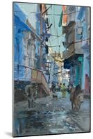 Blue Back Street, Udaipur, 2013-Peter Brown-Mounted Giclee Print